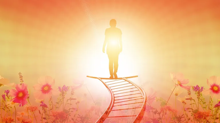 découvrez des stratégies efficaces pour réussir votre transition de carrière. notre guide vous accompagne dans cette démarche, en vous fournissant des conseils pratiques et des ressources essentielles pour changer de voie professionnelle en toute confiance.