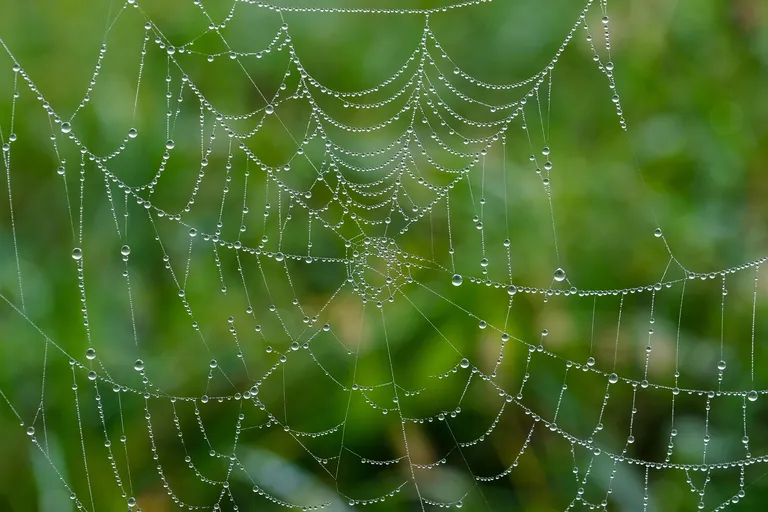 découvrez l'art du web writing : des conseils pratiques pour rédiger des contenus percutants et optimisés pour le seo, attirer l'attention de votre audience et améliorer votre visibilité en ligne.