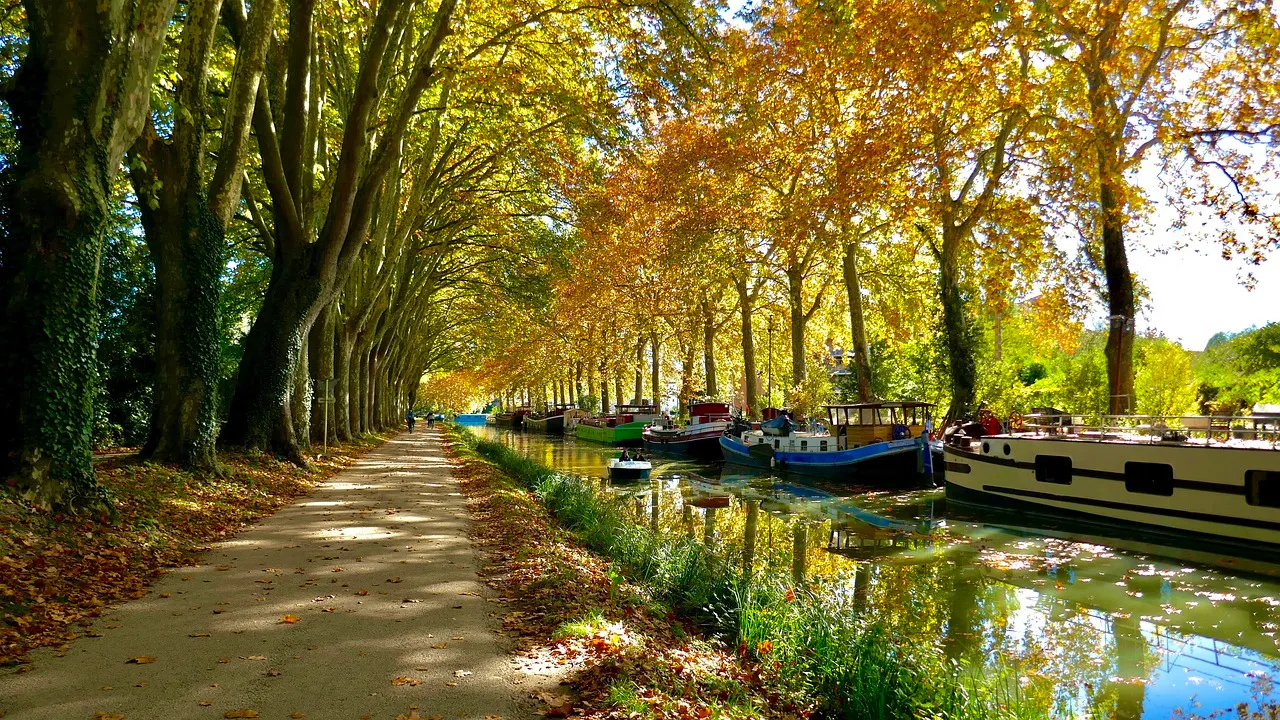 découvrez l'occitanie, une région riche en patrimoine historique, en paysages variés et en traditions vivantes. explorez ses villes vibrantes, ses villages pittoresques et savourez la gastronomie locale tout en profitant d'activités en plein air au cœur de la nature.
