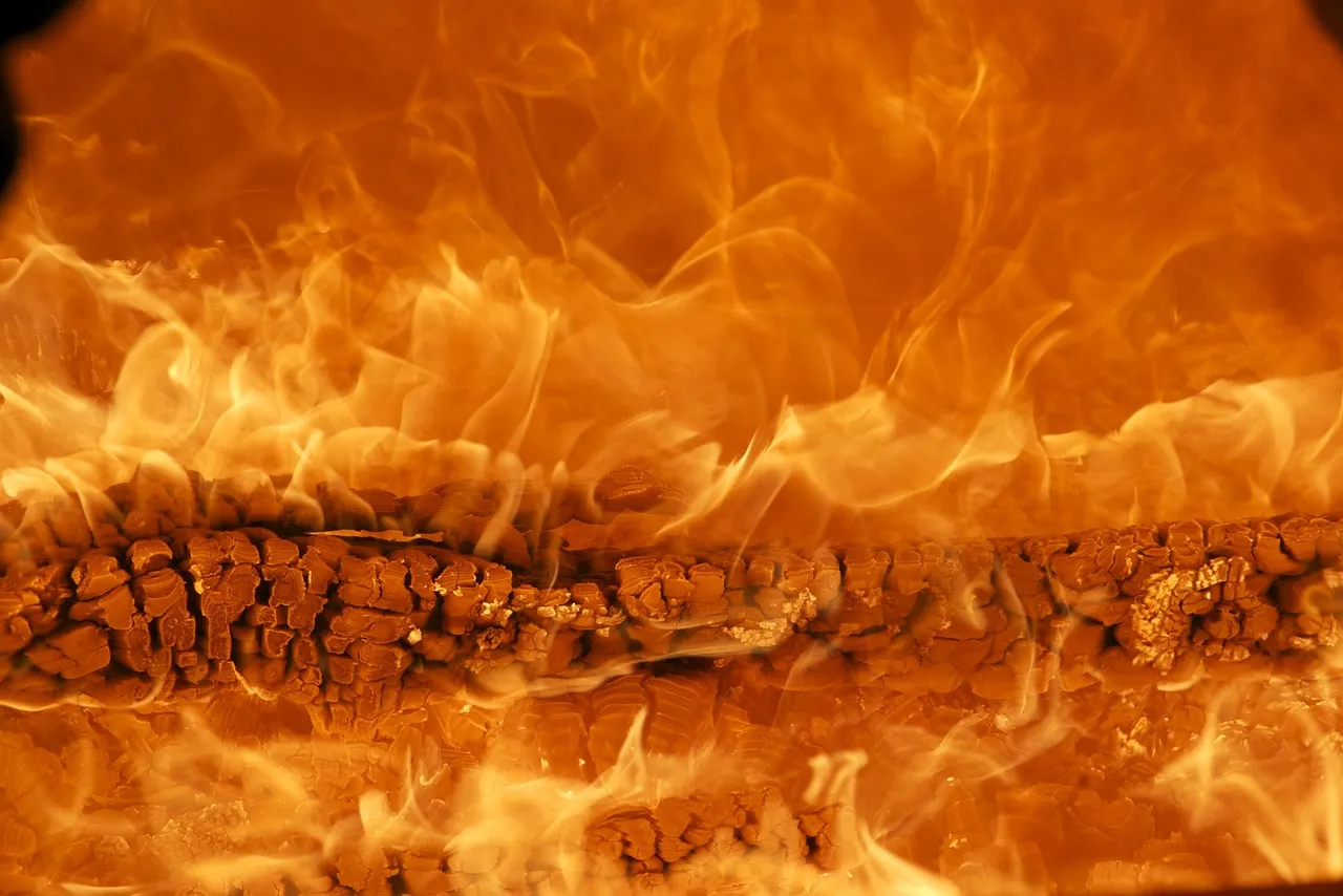 découvrez les étapes essentielles pour vous préparer efficacement aux incendies. apprenez comment protéger votre maison et votre famille, ainsi que des conseils pratiques sur les équipements nécessaires et les procédures d'évacuation à suivre en cas d'urgence.